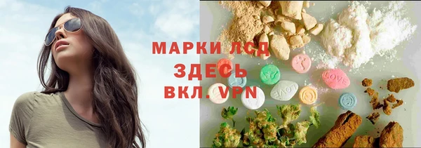 амф Алзамай