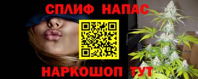 гашик Волжский