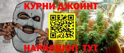 гашик Волжский