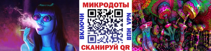 ОМГ ОМГ ССЫЛКА  даркнет наркотические препараты  Зерноград  Псилоцибиновые грибы мицелий  где продают  