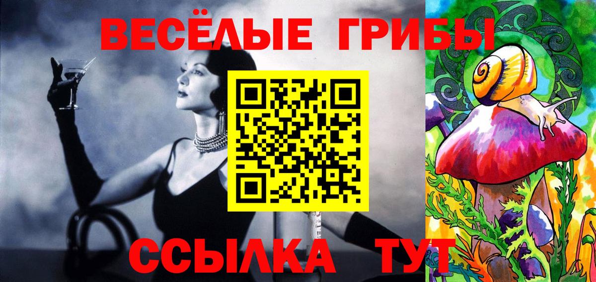 Зерноград  Галлюциногенные грибы прущие грибы  Вход с VPN  Псилоцибиновые грибы MAGIC MUSHROOMS 