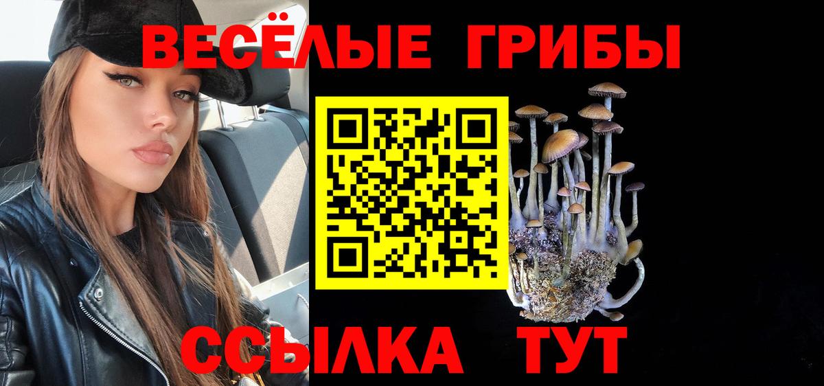 Галлюциногенные грибы GOLDEN TEACHER Зерноград